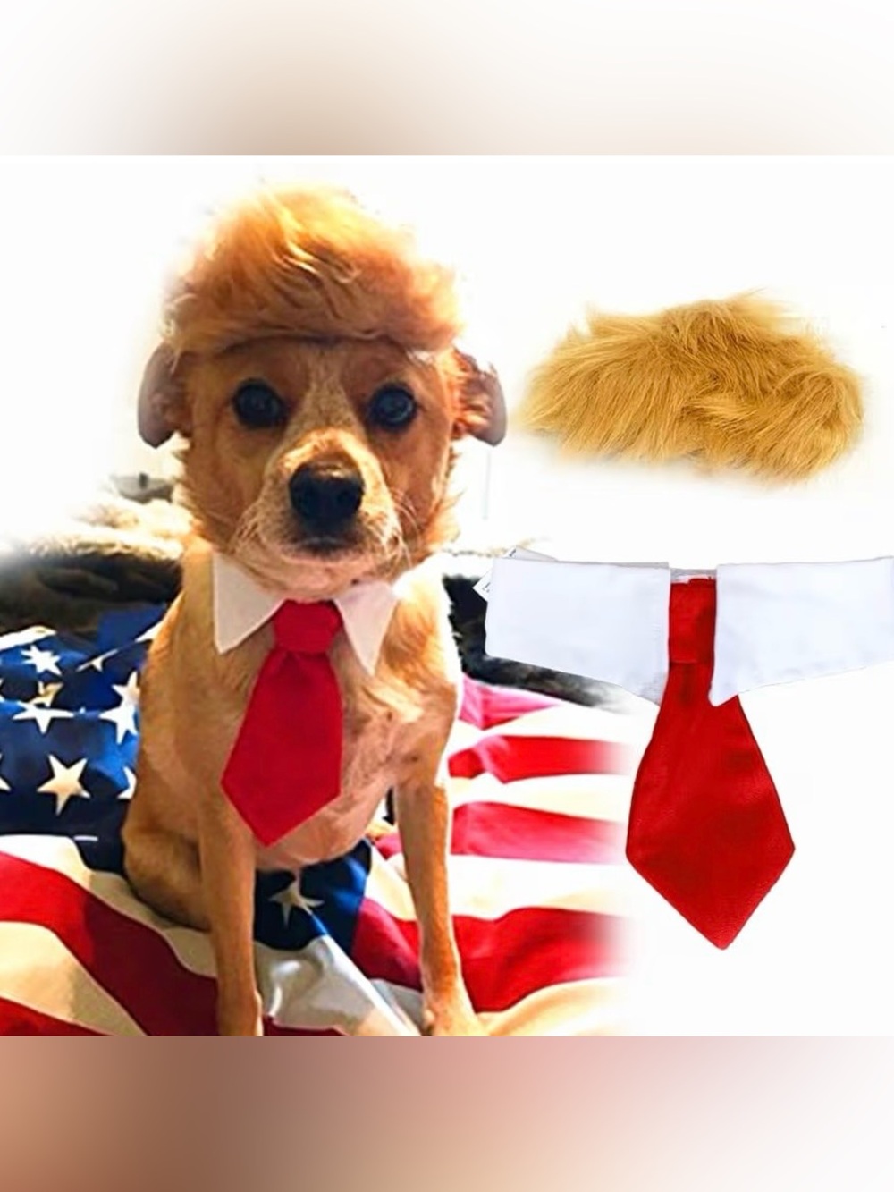 Trump Pet Costume, Wig and Tie, Size Small/Medium